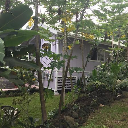 The Dolphin Cottage At Kehena Beach Ngoại thất bức ảnh