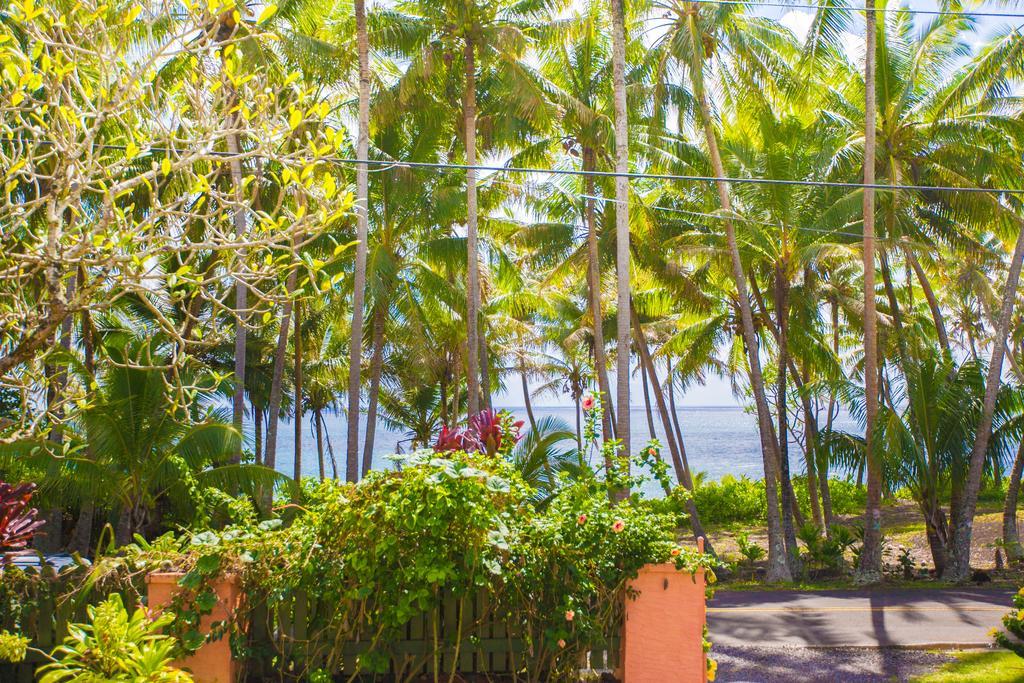 The Dolphin Cottage At Kehena Beach Ngoại thất bức ảnh
