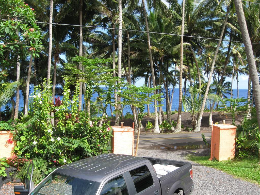 The Dolphin Cottage At Kehena Beach Ngoại thất bức ảnh