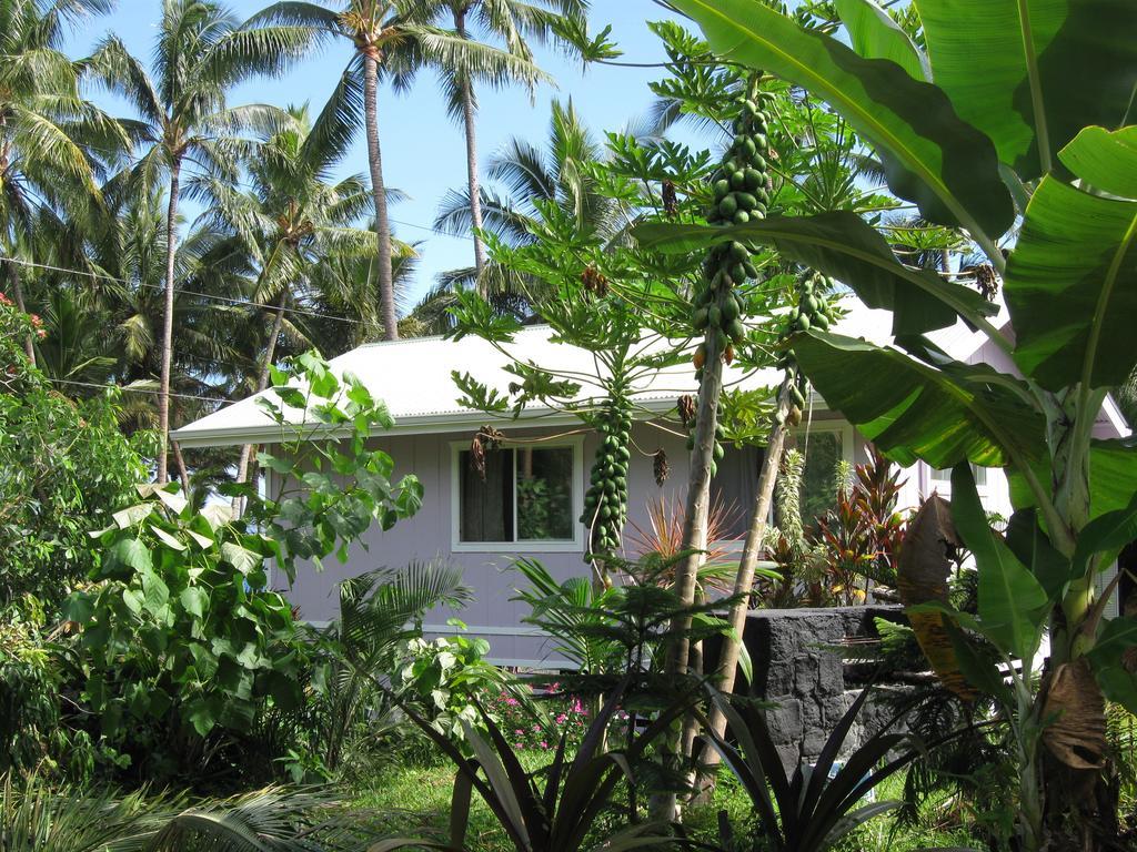 The Dolphin Cottage At Kehena Beach Ngoại thất bức ảnh