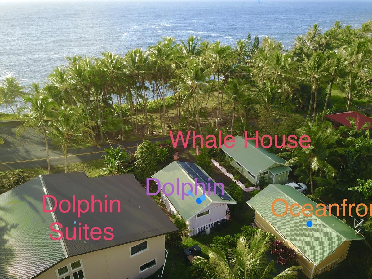The Dolphin Cottage At Kehena Beach Ngoại thất bức ảnh