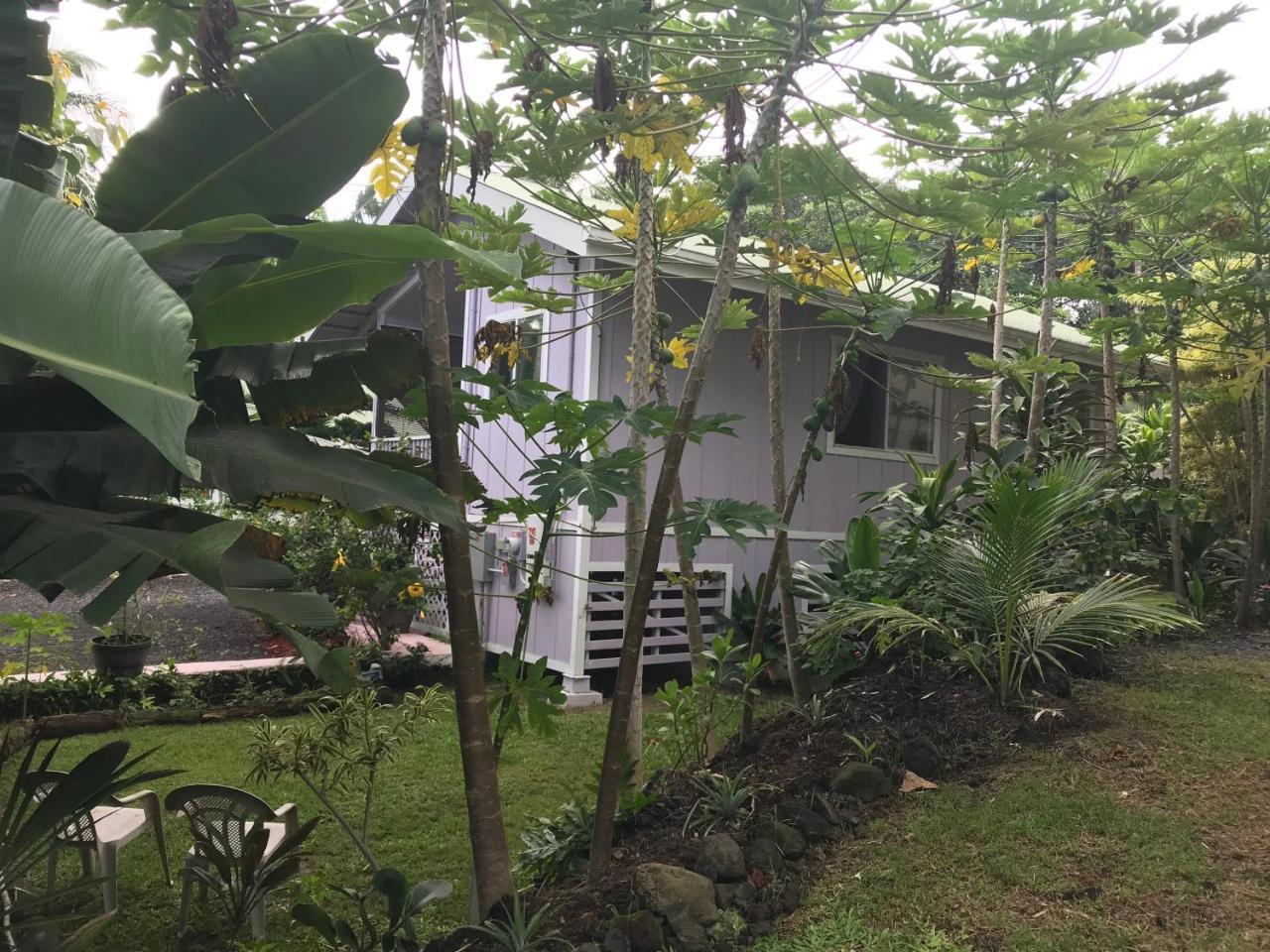 The Dolphin Cottage At Kehena Beach Ngoại thất bức ảnh